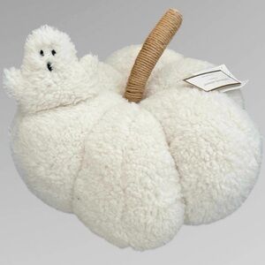 Sherpa pumpkin with ghost 👻 | cupcakes & cashmere